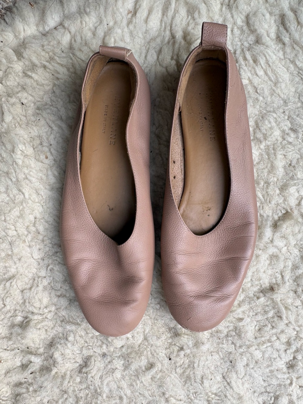 Everlane Blush Leather Ballet Flats